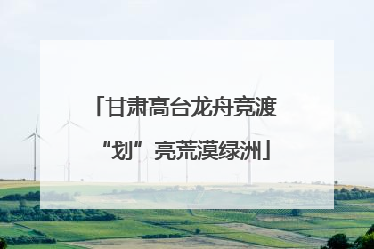 甘肃高台龙舟竞渡“划”亮荒漠绿洲