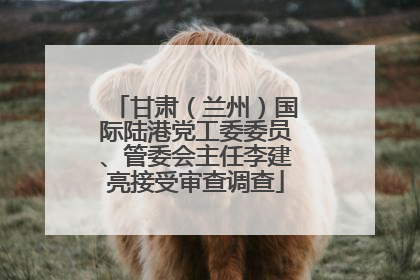 甘肃（兰州）国际陆港党工委委员、管委会主任李建亮接受审查调查