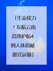 生命接力！东航云南高效护航4例人体捐献器官运输
