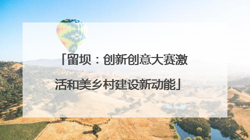 留坝：创新创意大赛激活和美乡村建设新动能