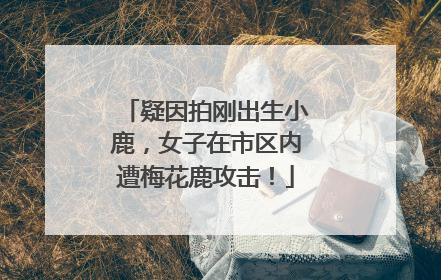 疑因拍刚出生小鹿，女子在市区内遭梅花鹿攻击！