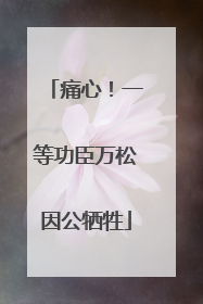 痛心！一等功臣万松因公牺牲