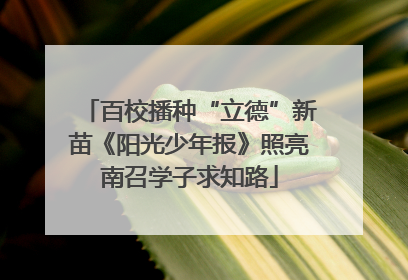 百校播种“立德”新苗《阳光少年报》照亮南召学子求知路