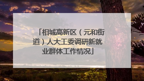 相城高新区（元和街道）人大工委调研新就业群体工作情况
