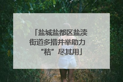 盐城盐都区盐渎街道多措并举助力“秸”尽其用