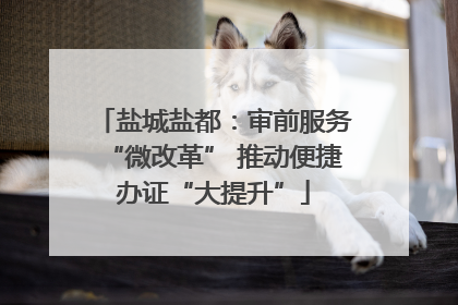 盐城盐都：审前服务“微改革” 推动便捷办证“大提升”