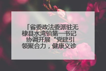 省委政法委派驻无棣县水湾镇第一书记 协调开展“党建引领聚合力，健康义诊惠乡亲”义诊活动