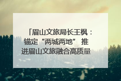 眉山文旅局长王枫：锚定“两城两地” 推进眉山文旅融合高质量发展｜文旅局长说