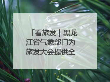 看旅发｜黑龙江省气象部门为旅发大会提供全方位服务保障