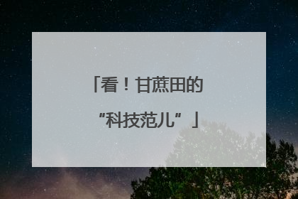 看！甘蔗田的“科技范儿”