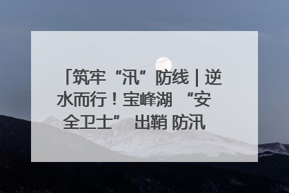 筑牢“汛”防线｜逆水而行！宝峰湖 “安全卫士” 出鞘 防汛应急再添硬核力量
