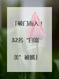 破门而入！32名“白富美”被抓