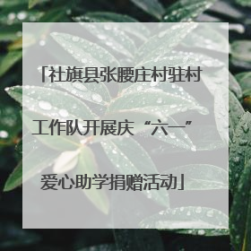 社旗县张腰庄村驻村工作队开展庆“六一”爱心助学捐赠活动