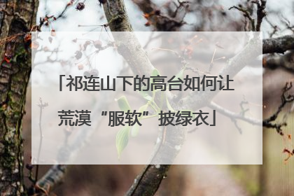祁连山下的高台如何让荒漠“服软”披绿衣