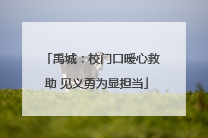 禹城：校门口暖心救助 见义勇为显担当