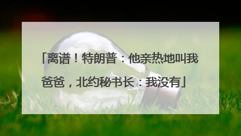 离谱！特朗普：他亲热地叫我爸爸，北约秘书长：我没有
