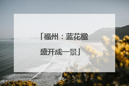 福州：蓝花楹盛开成一景