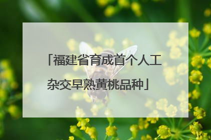 福建省育成首个人工杂交早熟黄桃品种