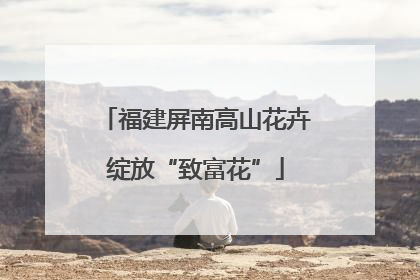 福建屏南高山花卉绽放“致富花”