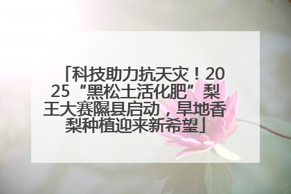 科技助力抗天灾！2025“黑松土活化肥”梨王大赛隰县启动，旱地香梨种植迎来新希望
