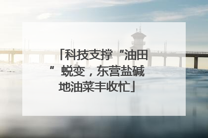 科技支撑“油田”蜕变，东营盐碱地油菜丰收忙