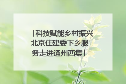 科技赋能乡村振兴 北京住建委下乡服务走进通州西集