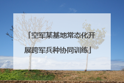 空军某基地常态化开展跨军兵种协同训练