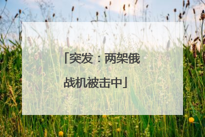 突发：两架俄战机被击中