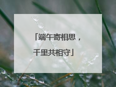 端午寄相思，千里共相守
