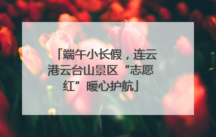 端午小长假，连云港云台山景区“志愿红”暖心护航