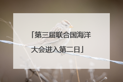 第三届联合国海洋大会进入第二日