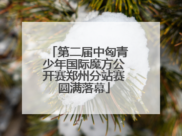 第二届中匈青少年国际魔方公开赛郑州分站赛圆满落幕