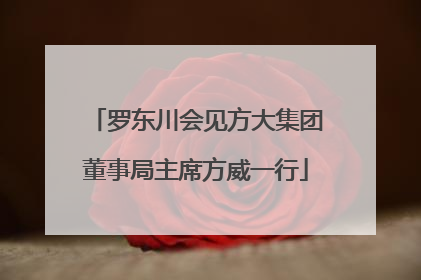 罗东川会见方大集团董事局主席方威一行