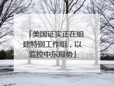 美国证实正在组建特别工作组，以监控中东局势