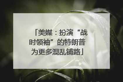 美媒：扮演“战时领袖”的特朗普为更多混乱铺路