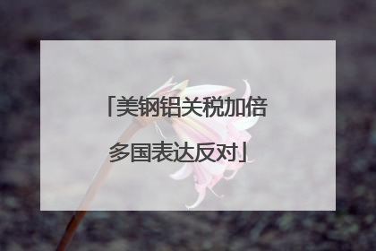 美钢铝关税加倍 多国表达反对