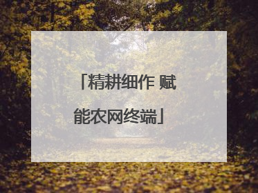 精耕细作 赋能农网终端