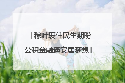 粽叶裹住民生期盼 公积金融通安居梦想