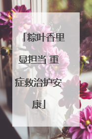 粽叶香里显担当 重症救治护安康