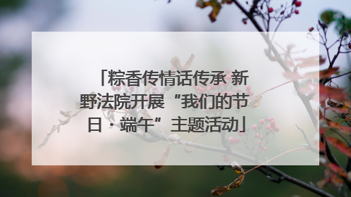 粽香传情话传承 新野法院开展“我们的节日・端午”主题活动