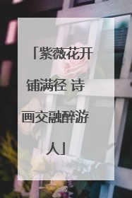 紫薇花开铺满径 诗画交融醉游人