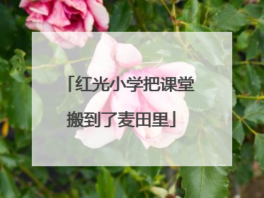 红光小学把课堂搬到了麦田里