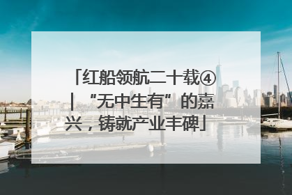 红船领航二十载④｜“无中生有”的嘉兴，铸就产业丰碑