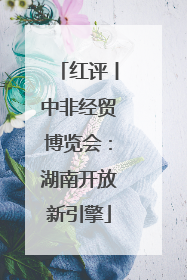 红评丨中非经贸博览会：湖南开放新引擎