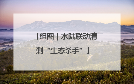 组图｜水陆联动清剿“生态杀手”