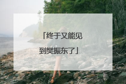 终于又能见到樊振东了
