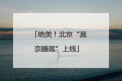 绝美！北京“莫奈睡莲”上线