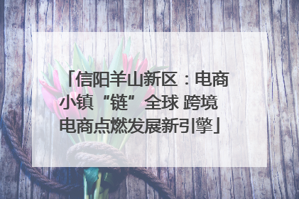 信阳羊山新区：电商小镇“链”全球 跨境电商点燃发展新引擎