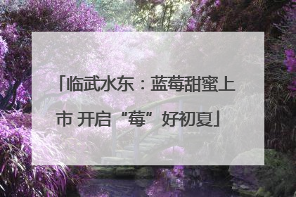 临武水东：蓝莓甜蜜上市 开启“莓”好初夏