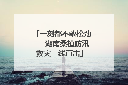 一刻都不敢松劲——湖南桑植防汛救灾一线直击